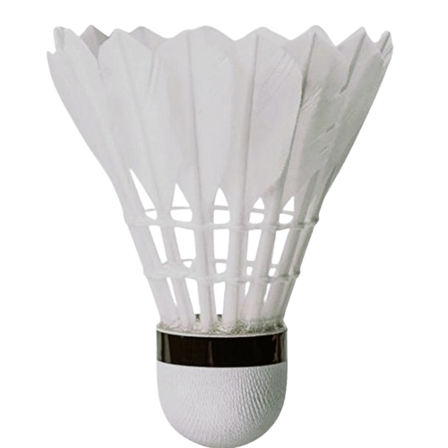 Decorative right image